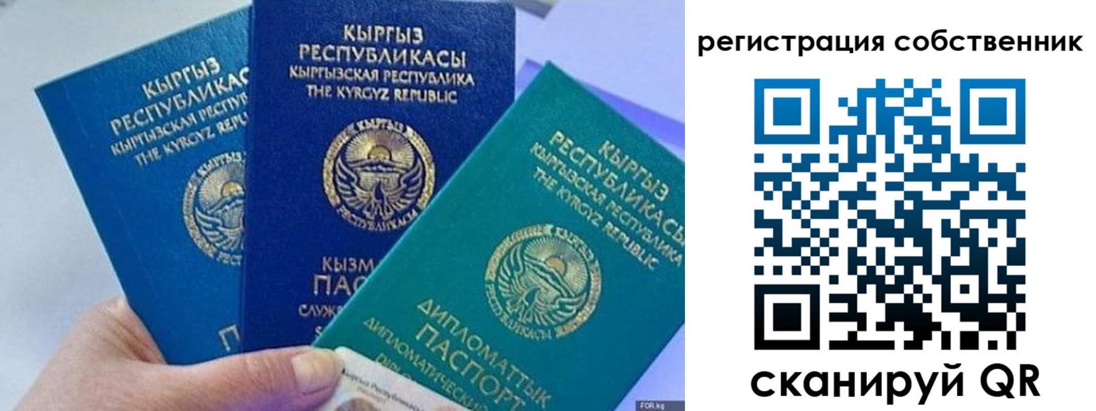 регистрация в Суздали